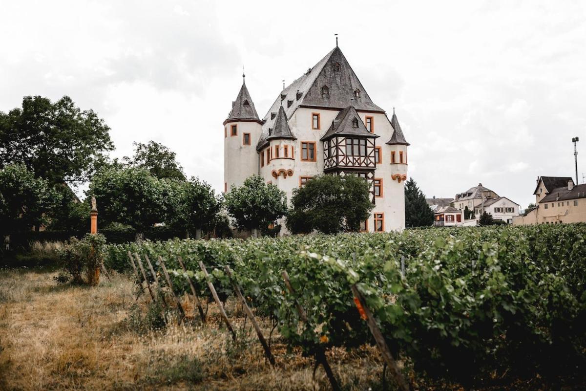 Schloss Schoenborn Geisenheim Ngoại thất bức ảnh